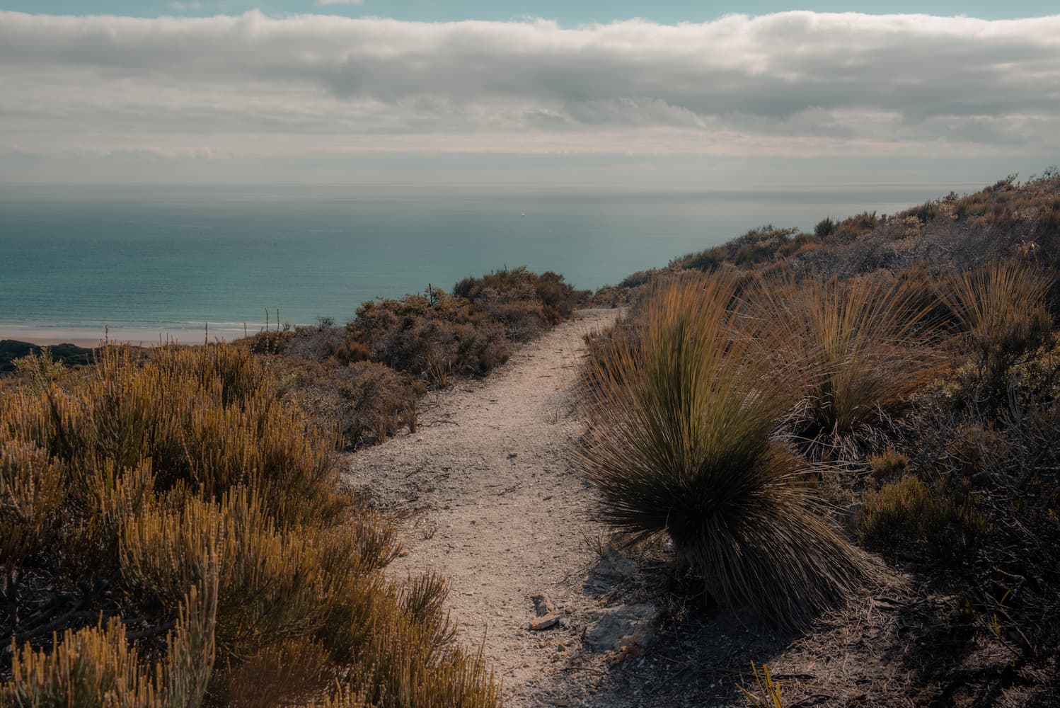 Archers Knob-1907 (1) A narrow dirt path winds through dry shrubs on a hillside, leading toward a calm ocean under a partly cloudy sky.